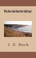 Why Does God Allow Our Suffering?