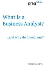 What is a Business Analyst?: ...and why do I need one?
