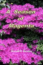 A Season of Magenta