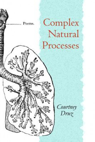 Complex Natural Processes: poems