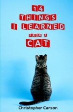 14 Things I Learned From A Cat