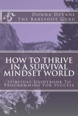 How To Thrive In A Survival Mindset World: Spiritual Guidebook To Programming For Success