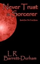 Never Trust a Sorcerer: The Trust Series - Book One