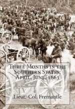 Three Months in the Southern States: April, June, 1863