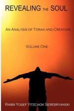 Revealing the Soul - Volume One: An Analysis of Torah and Creation