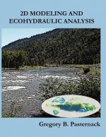 2D Modeling and Ecohydraulic Analysis