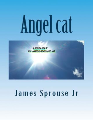 Angel cat: Angelcat book of beginning