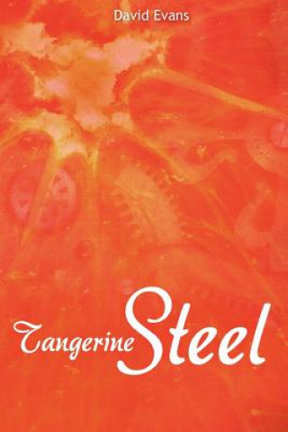 Tangerine Steel: A Life Story