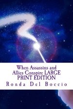 When Assassins and Allies Conspire LARGE PRINT EDITION: Visionary Tales