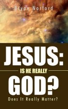 Jesus: Is He Really God?: Does It Really Matter?
