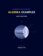 Algebra Examples Basic Functions