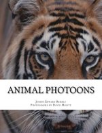 Animal Photoons: Photoons Are Sort Of Like Cartoons