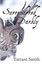 Surrendered Darkly