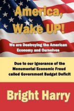America, Wake Up! We are Destroying the American Economy and Ourselves: The economic fraud called Government Budget Deficit