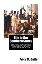 Life in the Southern States: What Became of the Slaves on A Georgia Plantation? Great Auction Sale of Slaves, at Savannah, Georgia, March 2d & 3d,