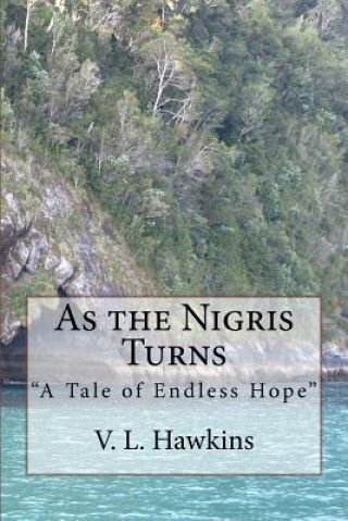 As the Nigris Turns: A Tale of Endless Hope