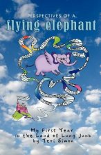 Perspectives of a Flying Elephant: My First Year in the Land of Lung Junk