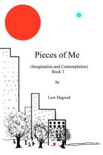Pieces of Me (Imagination and Contemplation)