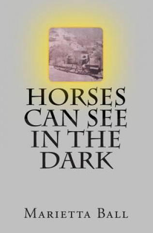 Horses Can See In The Dark
