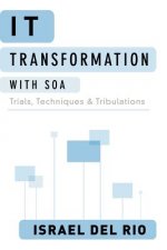 IT Transformation with SOA: Trials, Techniques and Tribulations