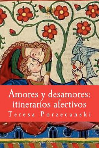 Amores y desamores: itinerarios afectivos: Ensayos antropológicos.