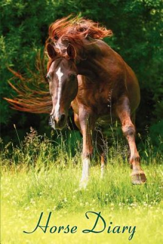 Horse Diary