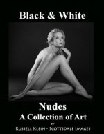 Black and White Nudes: A Collection of Art