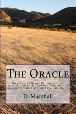 The Oracle: The pursuit of Human Purpose, Spiritual inclusion, and the Quickening of the Spirit - the next step in Human Evolution