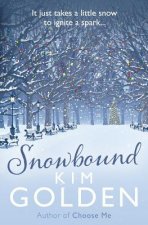 Snowbound: a wintery love story