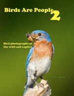 Birds are People 2