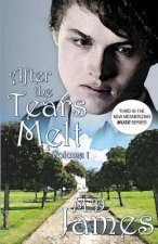 After the Tears Melt - Vol. 1: (Book 3 of the new, mesmerizing, Muse Series)
