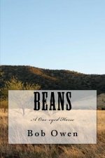 Beans: A One-eyed Horse