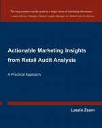 Actionable Marketing Insights from Retail Audit Analysis: A Practical Approach