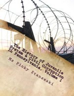 The history of Juvenile System & Civil Corruption In Pennsylvania: The history of Juvenile System & Civil Corruption In Pennsylvania-public policy & t