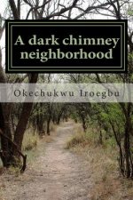 A dark chimney neighborhood: Clarke Duxer falls into their house chimney to discover a new world under the siege of the wicked Lord Galvan.