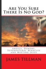 Are You Sure There Is No God?: A book of miracles including my warning from Jesus himself