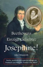 Beethovens Einzige Geliebte: Josephine! (2. Aufl.): Eine Biografie der Einzigen Frau, die Beethoven jemals geliebt hat