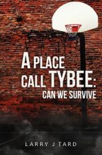 A Place Call Tybee: Can We Survive