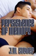 Persistence of Memory