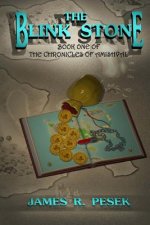 The Blink Stone: Book One Of The Chronicles Of Amishval