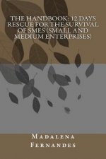 The Handbook: 12 days rescue for the Survival of SMEs (Small and Medium Enterprises)