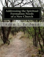 Addressing the Spiritual Formation Needs of a New Church: Current Realities, Future Opportunities and Formative Curriculum