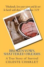 Broken Vows, Shattered Dreams: A Story of Survivorship through Domestic Abuse