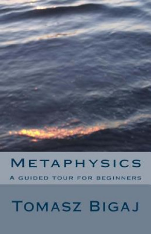 Metaphysics: A guided tour for beginners