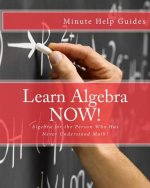Learn Algebra NOW!: Algebra for the Person Who Has Never Understood Math!