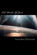 The Wonder Of Jesus