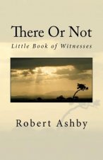 There Or Not - Little Book of Witnesses: God Through My Window