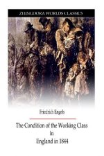 The Condition Of Working Class