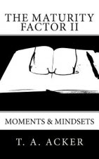 The Maturity Factor II: Moments & Mindsets