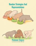 Number Strategies And Representations